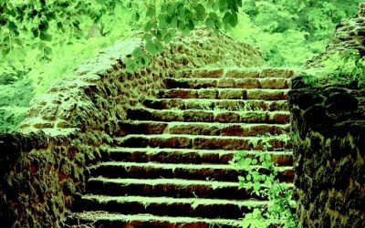 ¿Qué es la psicoterapia?