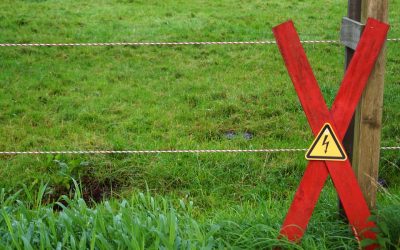 Cómo evitar conductas de riesgo en nuestros adolescentes